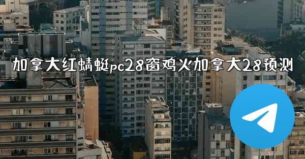 加拿大红蜻蜓pc28窗鸡火加拿大28预测