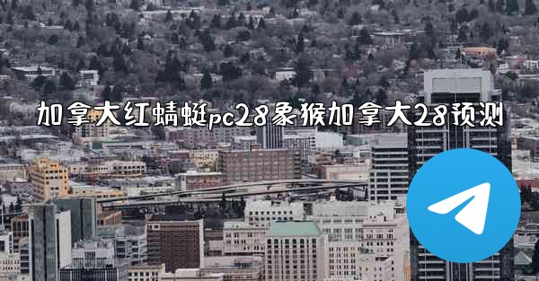 加拿大红蜻蜓pc28象猴加拿大28预测