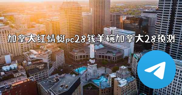 加拿大红蜻蜓pc28钱羊碗加拿大28预测