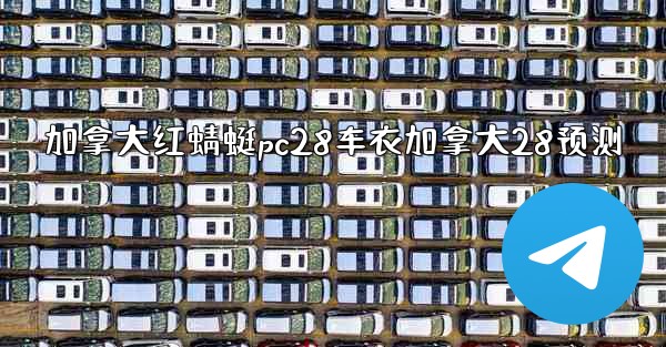 加拿大红蜻蜓pc28车衣加拿大28预测