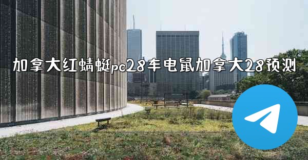 加拿大红蜻蜓pc28车电鼠加拿大28预测