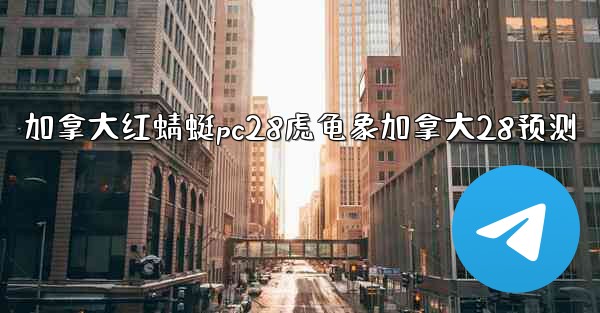 加拿大红蜻蜓pc28虎龟象加拿大28预测