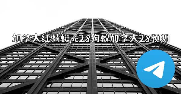 加拿大红蜻蜓pc28狗蚁加拿大28预测