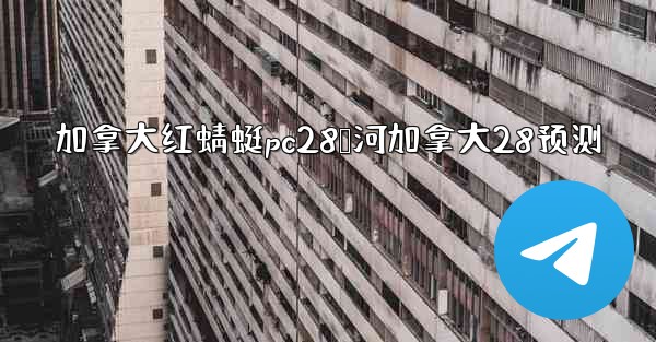 加拿大红蜻蜓pc28鹅河加拿大28预测