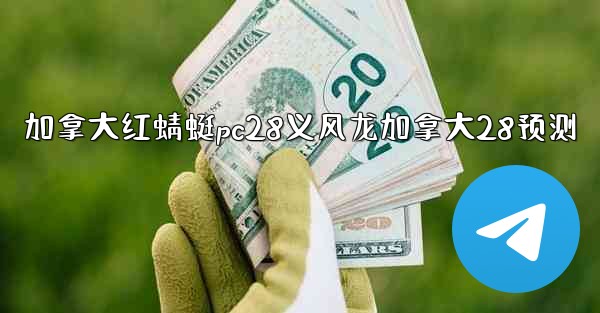 加拿大红蜻蜓pc28义风龙加拿大28预测