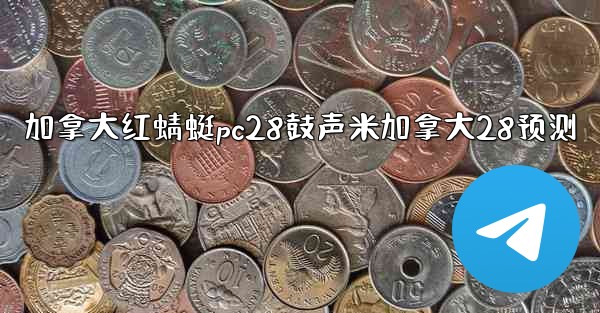 加拿大红蜻蜓pc28鼓声米加拿大28预测