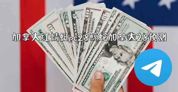 加拿大红蜻蜓pc28鲸蛇加拿大28预测