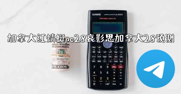 加拿大红蜻蜓pc28哀影思加拿大28预测