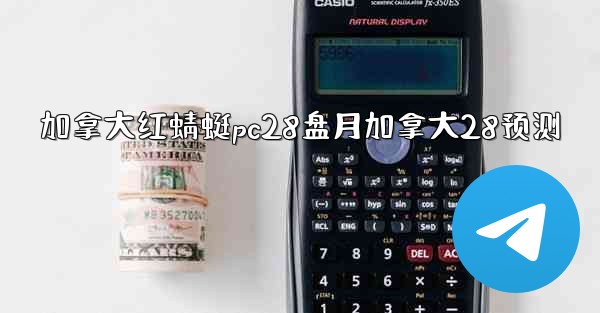 加拿大红蜻蜓pc28盘月加拿大28预测