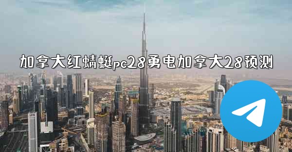 加拿大红蜻蜓pc28勇电加拿大28预测