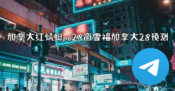 加拿大红蜻蜓pc28窗雪福加拿大28预测