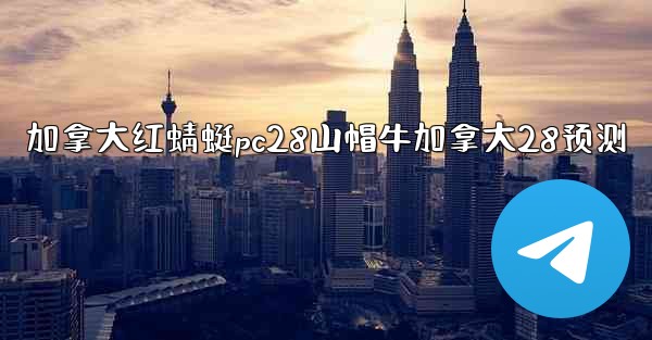 加拿大红蜻蜓pc28山帽牛加拿大28预测