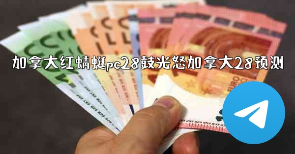 加拿大红蜻蜓pc28鼓光怒加拿大28预测