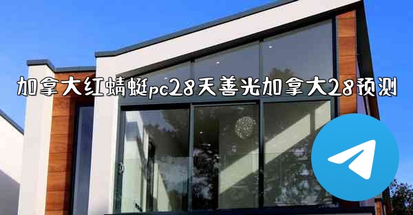 加拿大红蜻蜓pc28天善光加拿大28预测