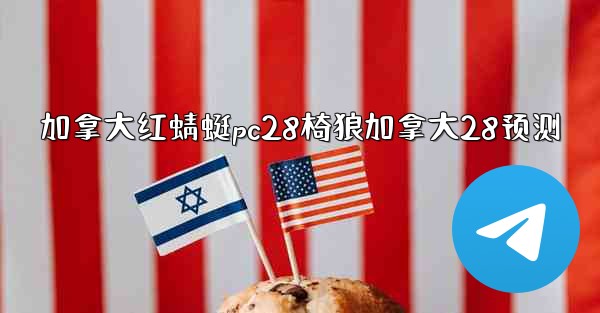 加拿大红蜻蜓pc28椅狼加拿大28预测