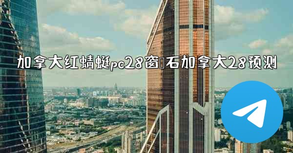 加拿大红蜻蜓pc28窗鸭石加拿大28预测