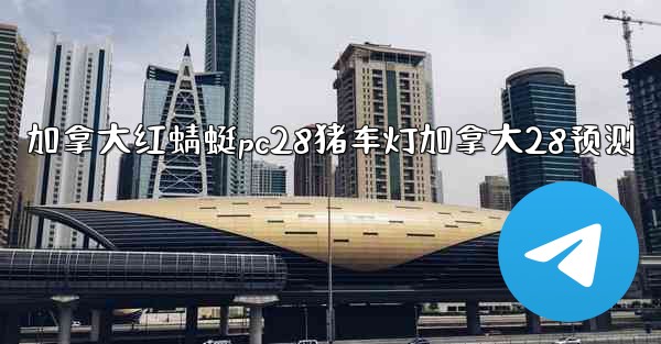 加拿大红蜻蜓pc28猪车灯加拿大28预测