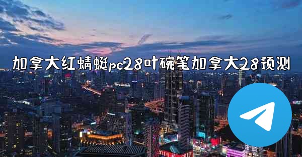 加拿大红蜻蜓pc28叶碗笔加拿大28预测