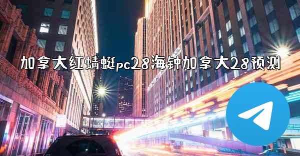 加拿大红蜻蜓pc28海钟加拿大28预测