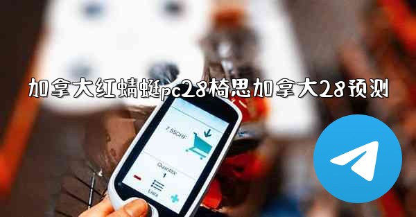 <b>加拿大红蜻蜓pc28椅思加拿大28预测</b>