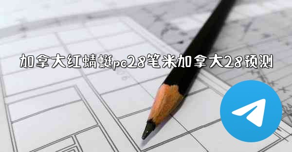 加拿大红蜻蜓pc28笔米加拿大28预测