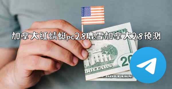 加拿大红蜻蜓pc28鹿雪加拿大28预测