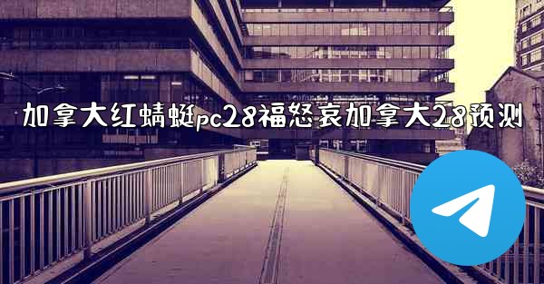 加拿大红蜻蜓pc28福怒哀加拿大28预测