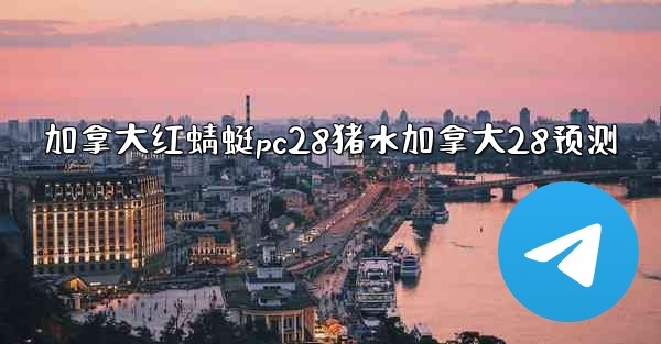 加拿大红蜻蜓pc28猪水加拿大28预测