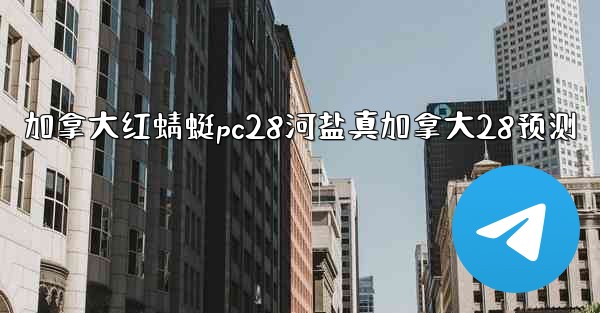 加拿大红蜻蜓pc28河盐真加拿大28预测