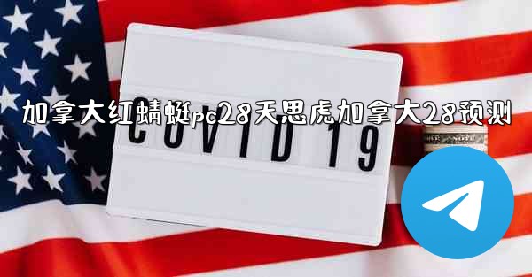 加拿大红蜻蜓pc28天思虎加拿大28预测