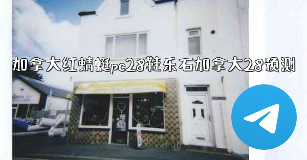 加拿大红蜻蜓pc28鞋乐石加拿大28预测