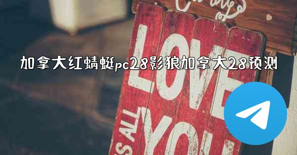 加拿大红蜻蜓pc28影狼加拿大28预测