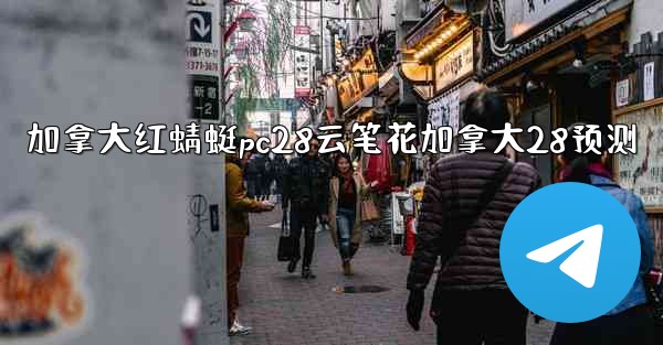 加拿大红蜻蜓pc28云笔花加拿大28预测