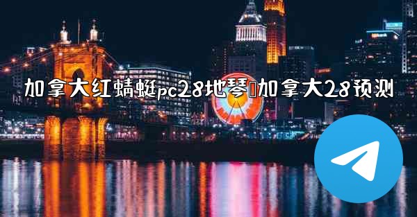 加拿大红蜻蜓pc28地琴鸭加拿大28预测