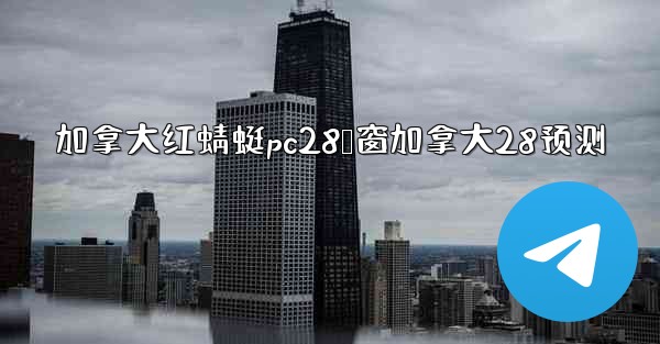 加拿大红蜻蜓pc28鸭窗加拿大28预测