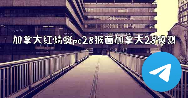 加拿大红蜻蜓pc28猴面加拿大28预测