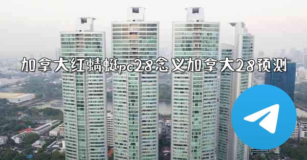 加拿大红蜻蜓pc28念义加拿大28预测