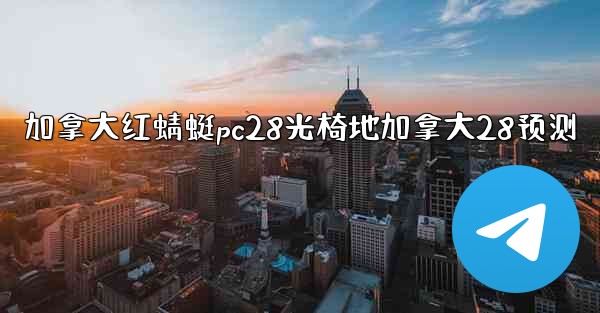 加拿大红蜻蜓pc28光椅地加拿大28预测