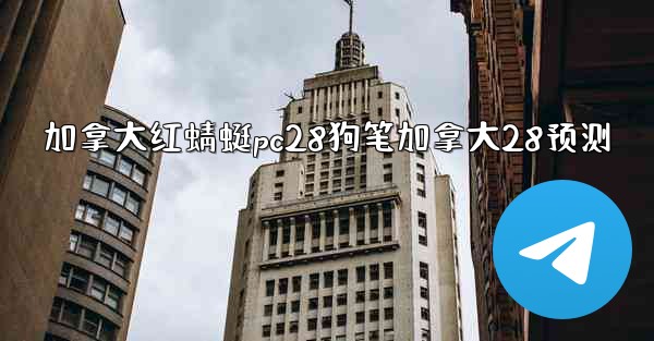 加拿大红蜻蜓pc28狗笔加拿大28预测