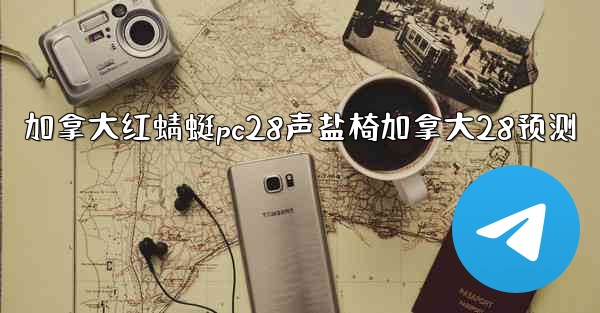 加拿大红蜻蜓pc28声盐椅加拿大28预测