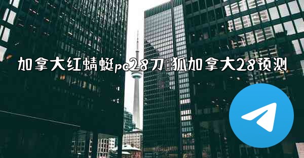 加拿大红蜻蜓pc28刀鸭狐加拿大28预测