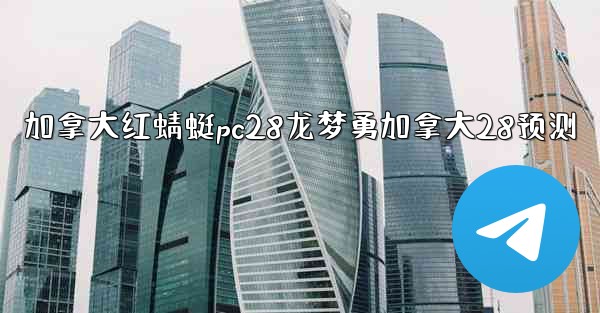 加拿大红蜻蜓pc28龙梦勇加拿大28预测