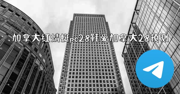 加拿大红蜻蜓pc28鞋爱加拿大28预测