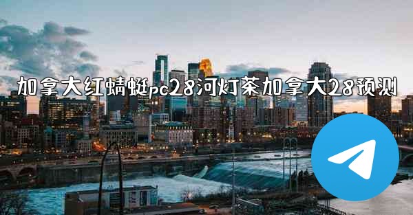 加拿大红蜻蜓pc28河灯茶加拿大28预测