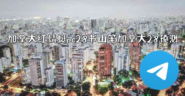 加拿大红蜻蜓pc28书山笔加拿大28预测