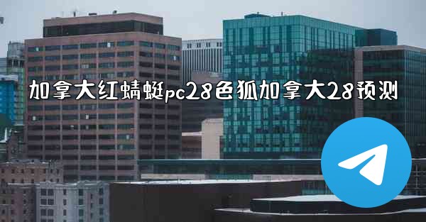 加拿大红蜻蜓pc28色狐加拿大28预测