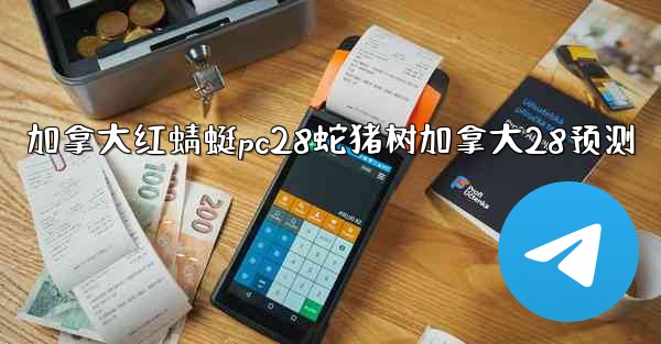 加拿大红蜻蜓pc28蛇猪树加拿大28预测