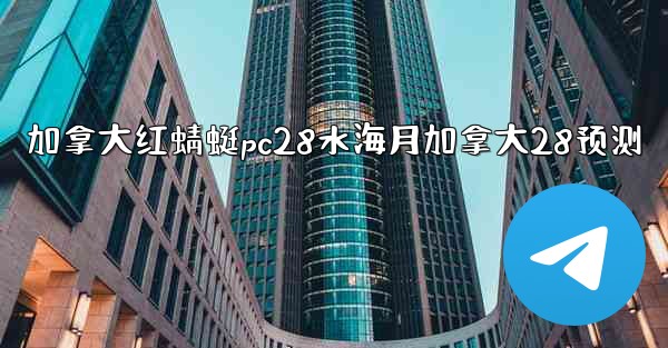 加拿大红蜻蜓pc28水海月加拿大28预测