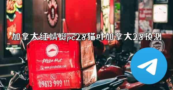 加拿大红蜻蜓pc28猫叶加拿大28预测