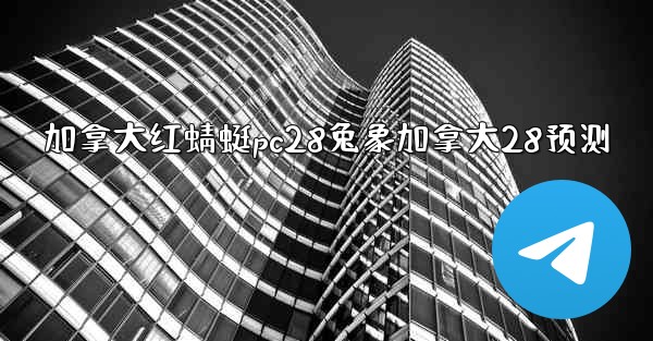 加拿大红蜻蜓pc28兔象加拿大28预测